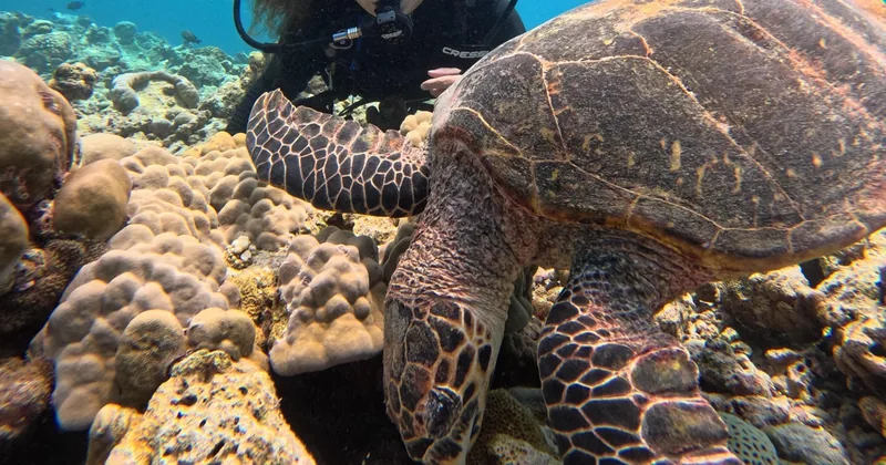 Discover Scuba Diving auf Maafushi
