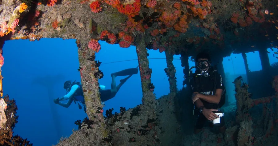Taucher, die durch das korallenbewachsene Gerüst eines Schiffswracks schwimmen